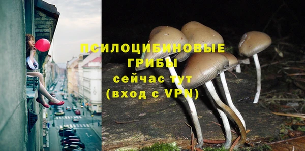 каннабис Дмитриев