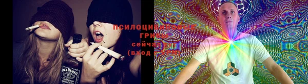 каннабис Дмитриев