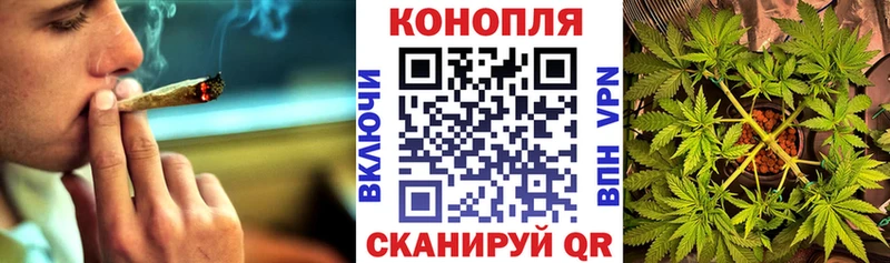 Конопля AK-47  Купить закладки  Кашин 